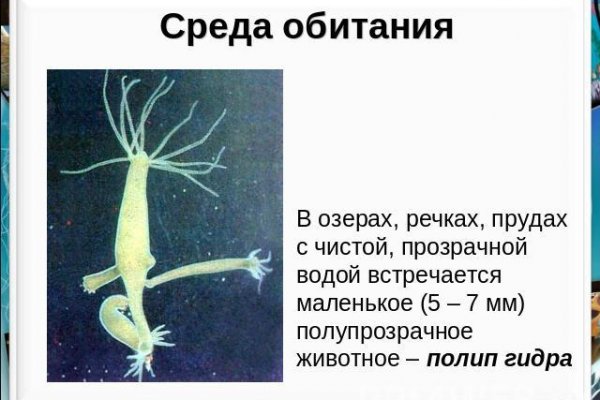 Сайт кракен тор браузера