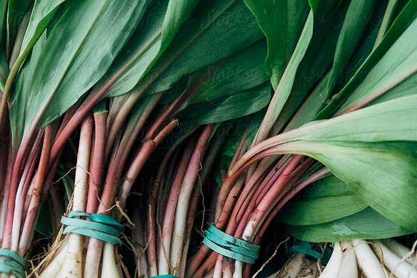 Что такое кракен сайт в россии