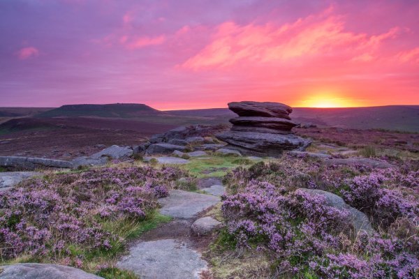 Кракен клир