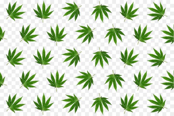 Ссылка на кракен оригинал