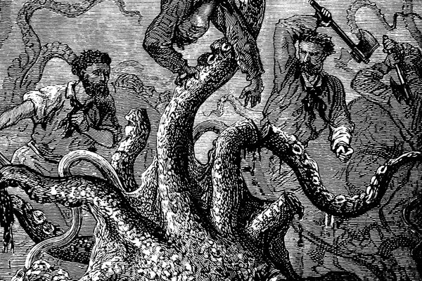 Почему в кракене пользователь не найден