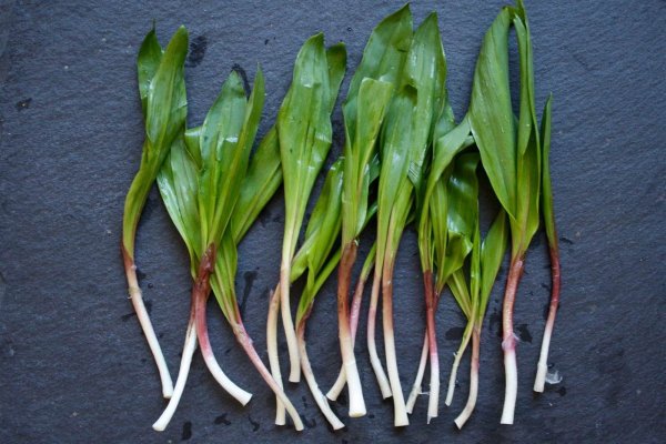 Кракен маркетплейс товары