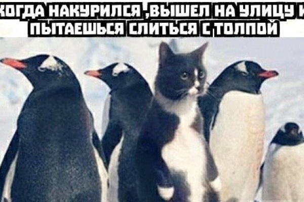 Кракен тор маркет пв