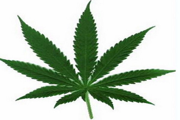 Кракен работает