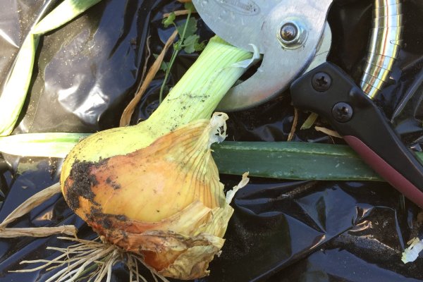 Кракен купить в москве порошок