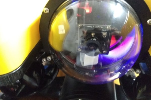 Зарегистрироваться на сайте кракен