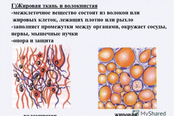 Правильная ссылка на кракен