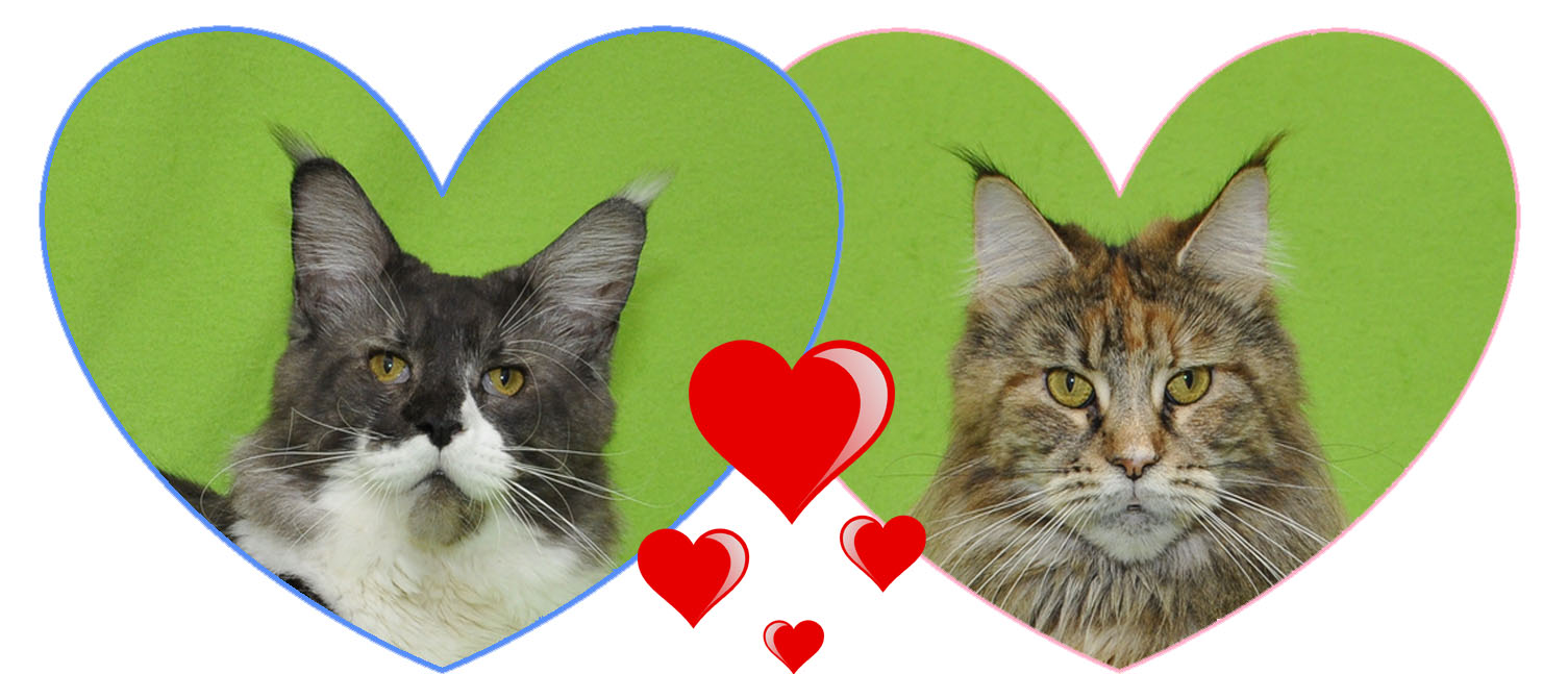 Сайт кракен онион