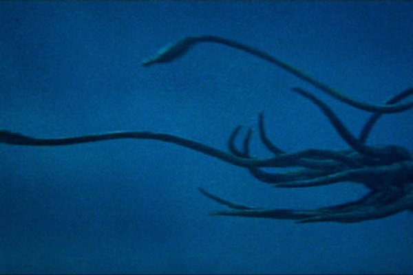 Как зарегистрироваться на кракене из россии