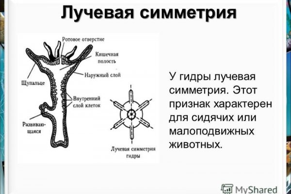 Кракен ссылка орион