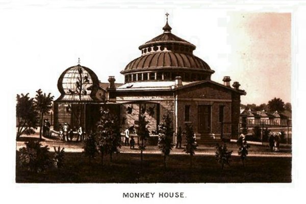 Где купить наркотиков